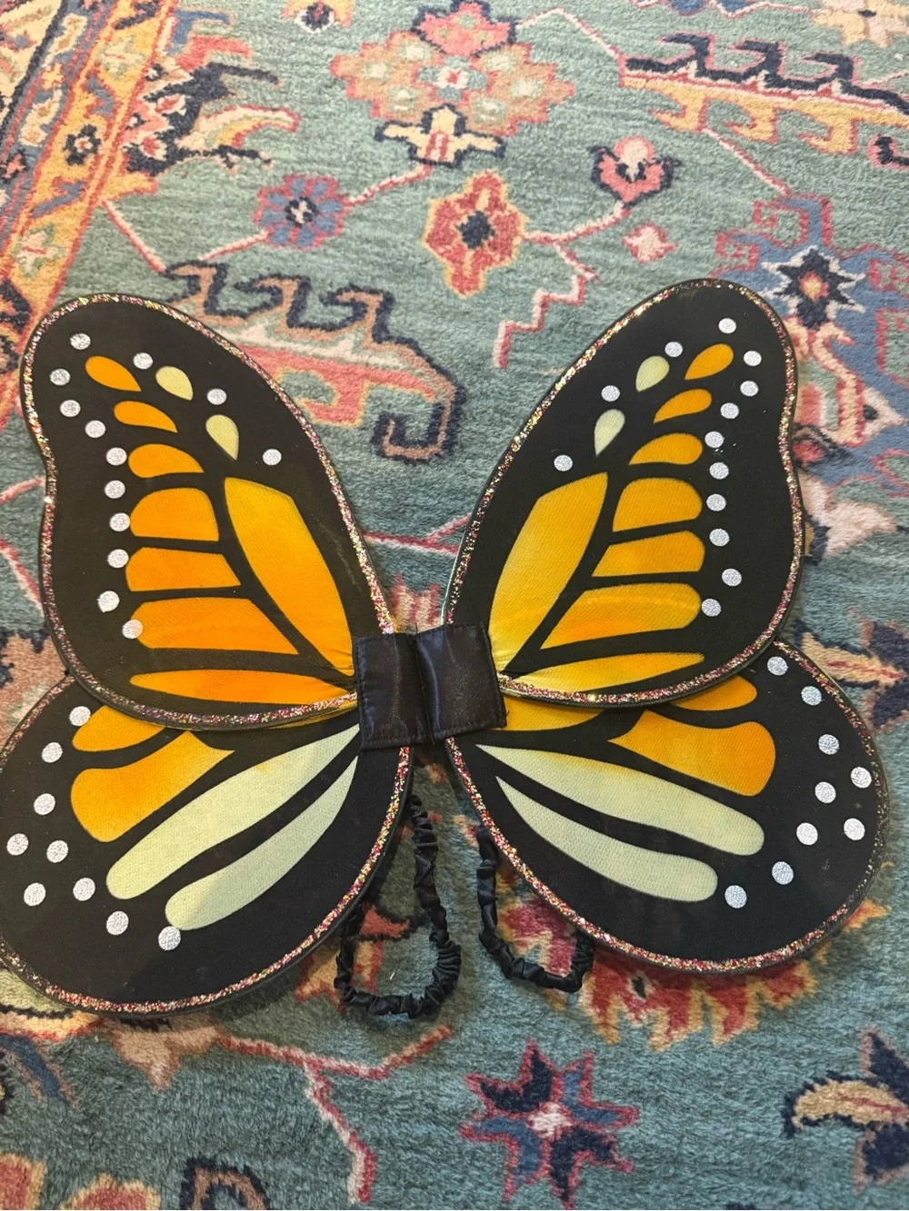 Kid’s Butterfly Wings Costume